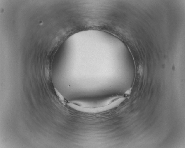 X0000062901348200602031822