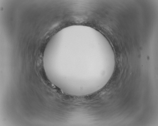 X0000062901349200602031822