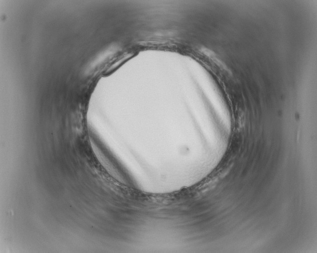 X0000062901350200602031822