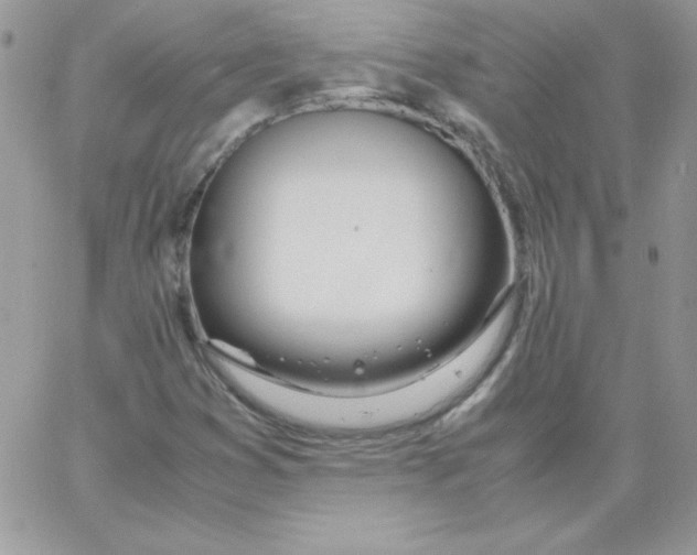 X0000062901353200602031822