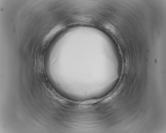 X0000062901354200602031822