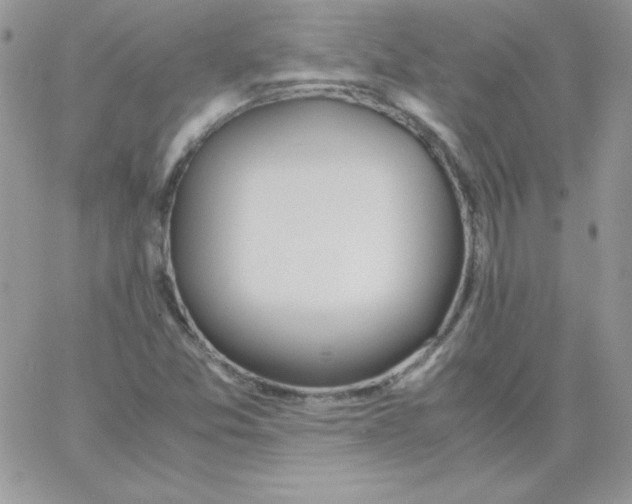 X0000062901357200602031822