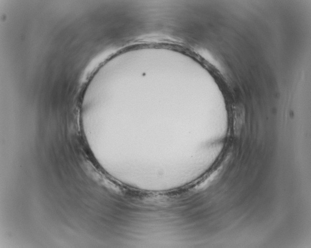 X0000062901358200602031822