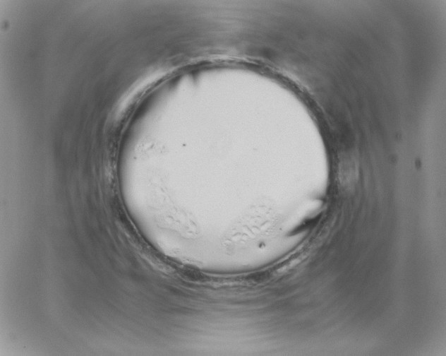 X0000062901359200602031821