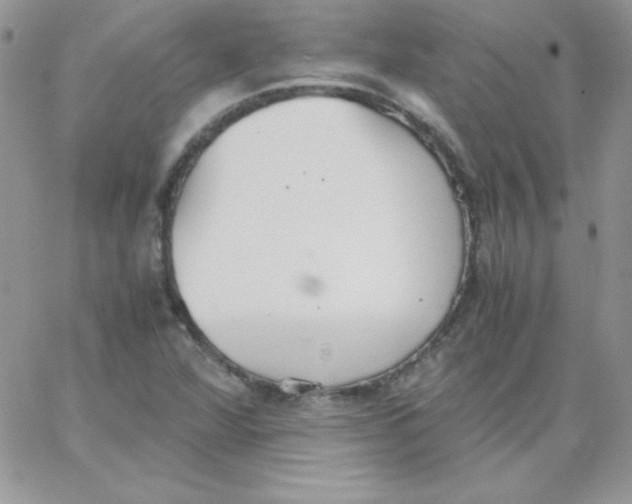 X0000062901360200602031821