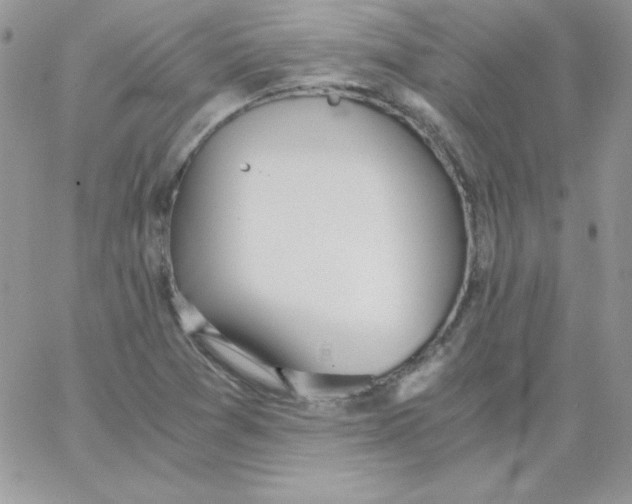 X0000062901361200602031821