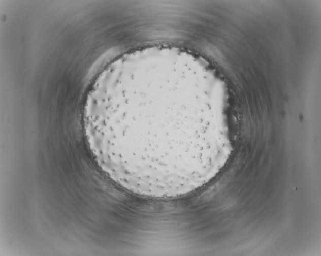 X0000062901362200602031821