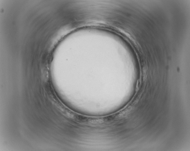 X0000062901363200602031821