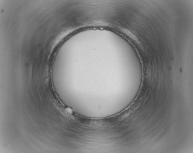 X0000062901364200602031821