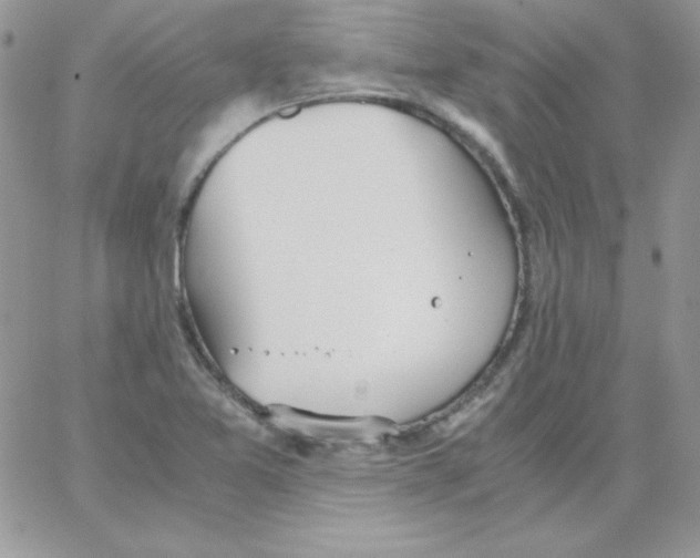 X0000062901365200602031821