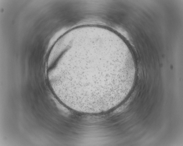 X0000062901366200602031821