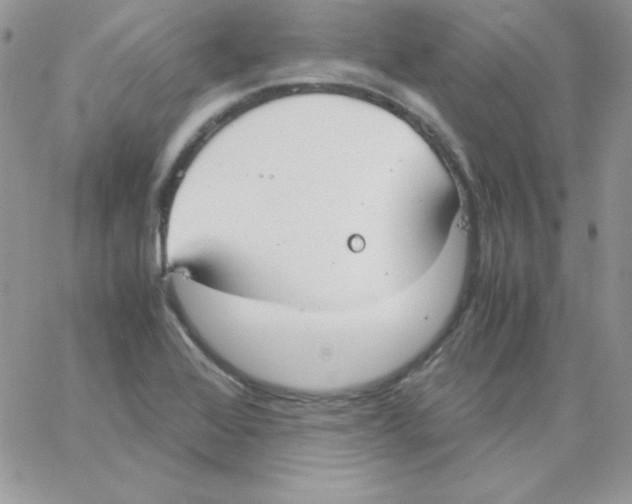 X0000062901368200602031821