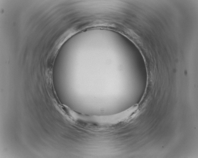 X0000062901369200602031821