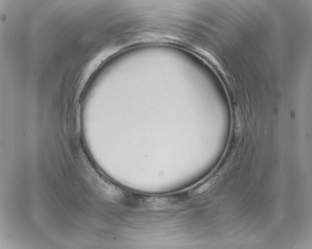 X0000062901371200602031821