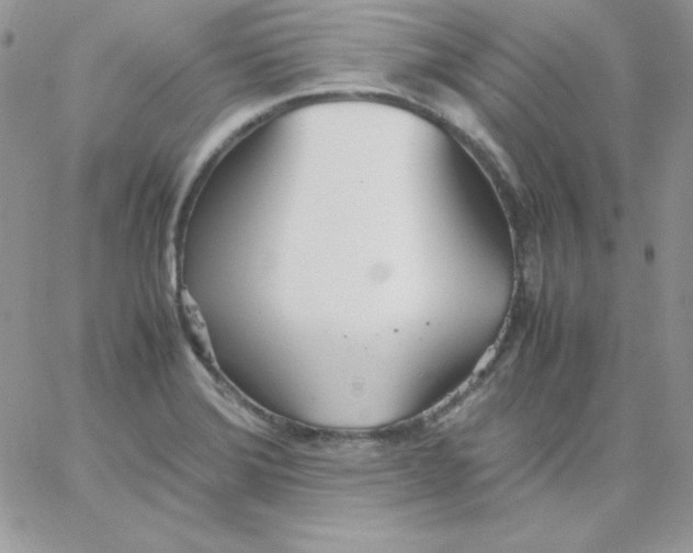 X0000062901372200602031821