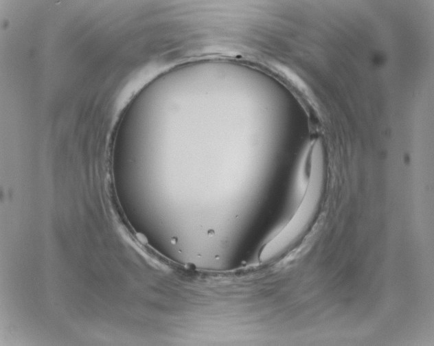 X0000062901373200602031821