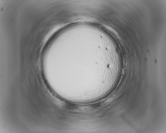 X0000062901375200602031821