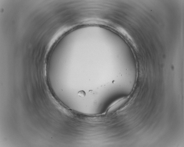 X0000062901376200602031821