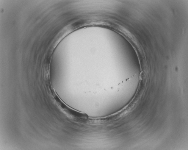 X0000062901377200602031821