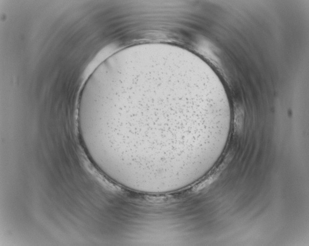 X0000062901378200602031821