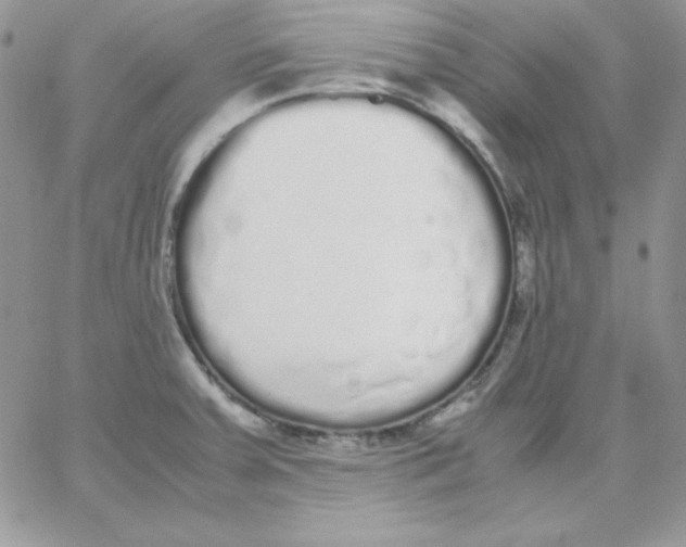 X0000062901379200602031821