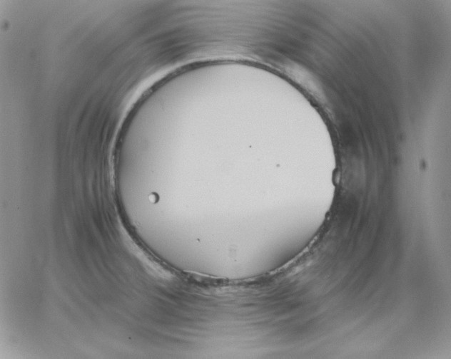 X0000062901380200602031821