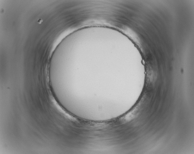 X0000062901382200602031821