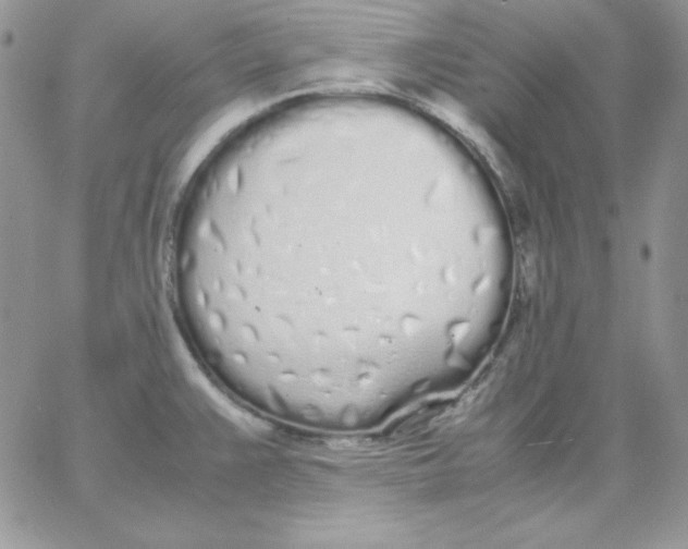 X0000062901383200602031821