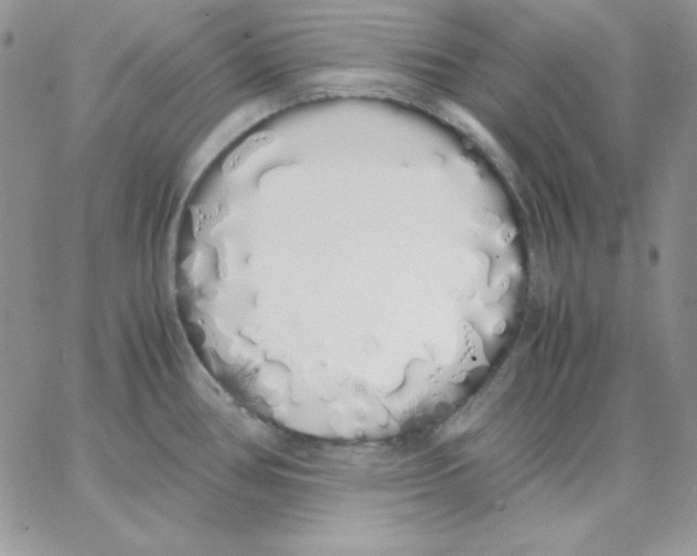 X0000062901386200602031821