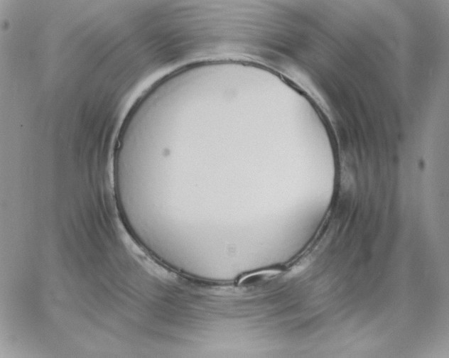 X0000062901388200602031821