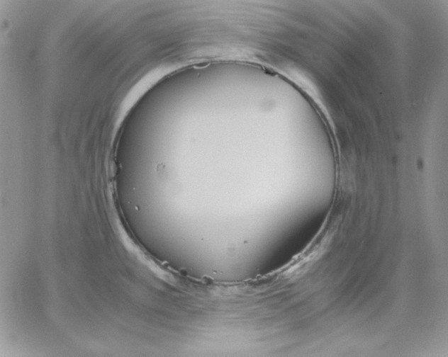 X0000062901389200602031821