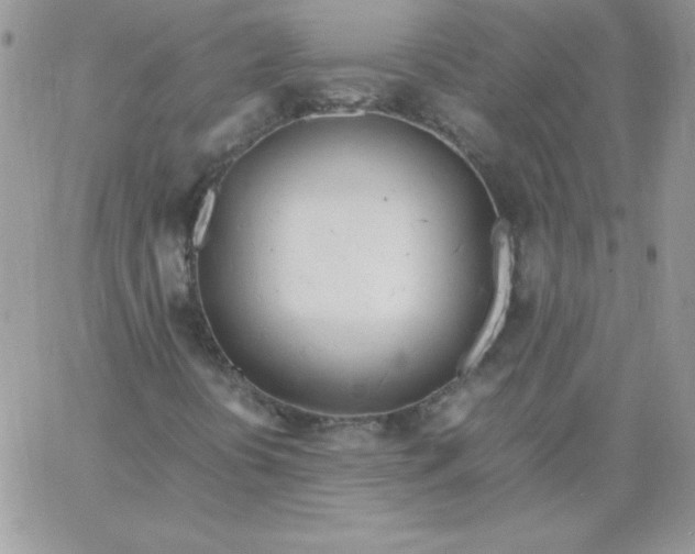 X0000062901394200602031820