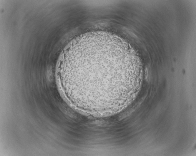 X0000062901395200602031820