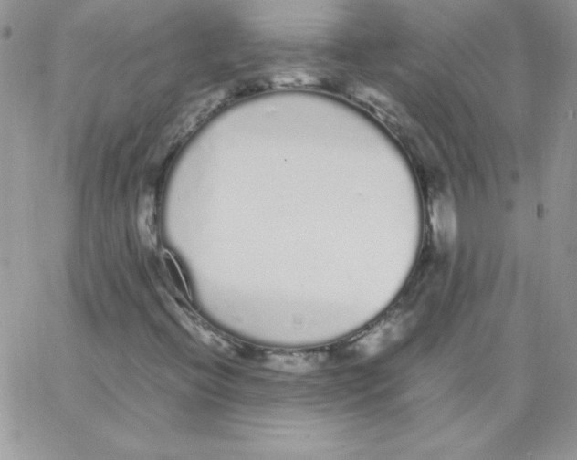 X0000062901396200602031820