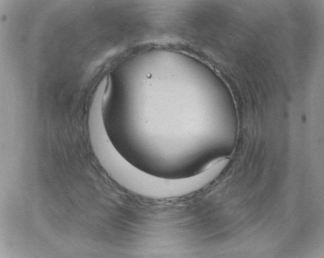 X0000062901398200602031820