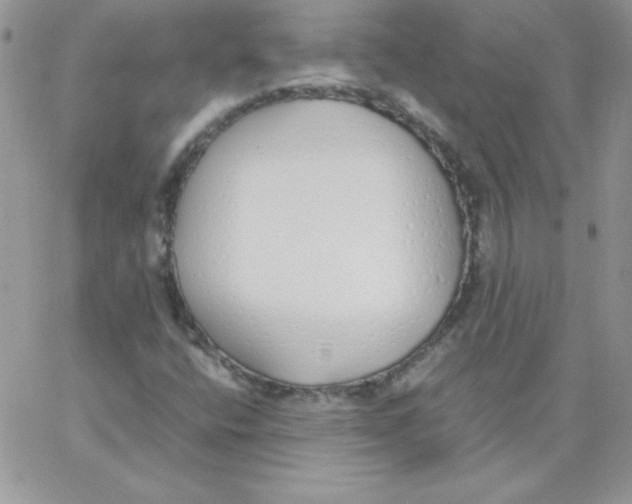 X0000062901400200602031820