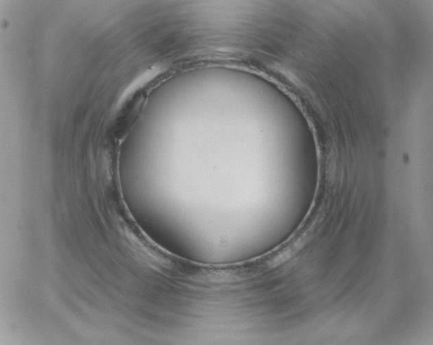 X0000062901402200602031820