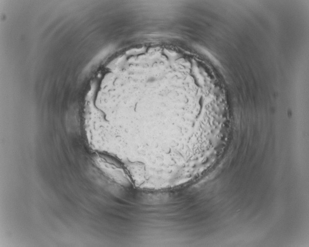 X0000062901403200602031820