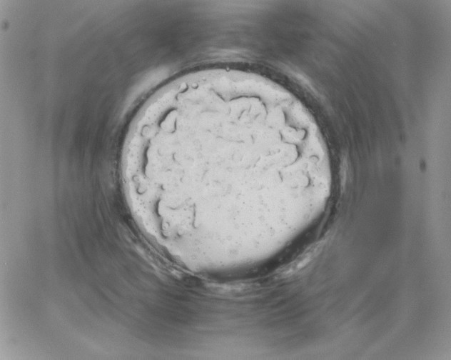 X0000062901405200602031820