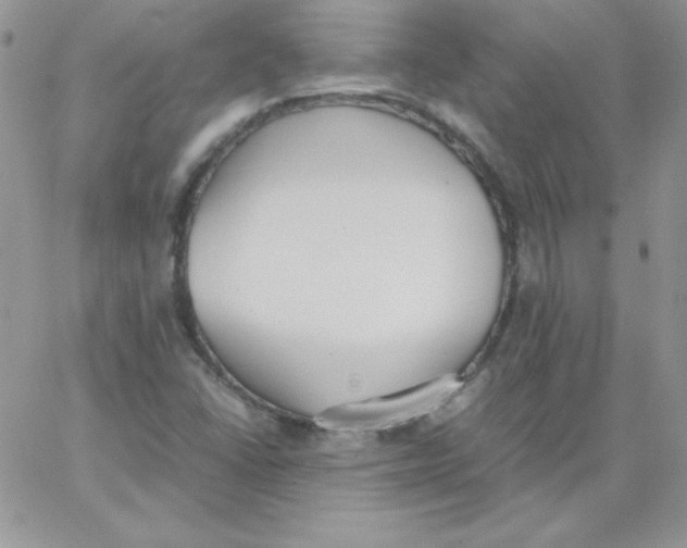 X0000062901406200602031820