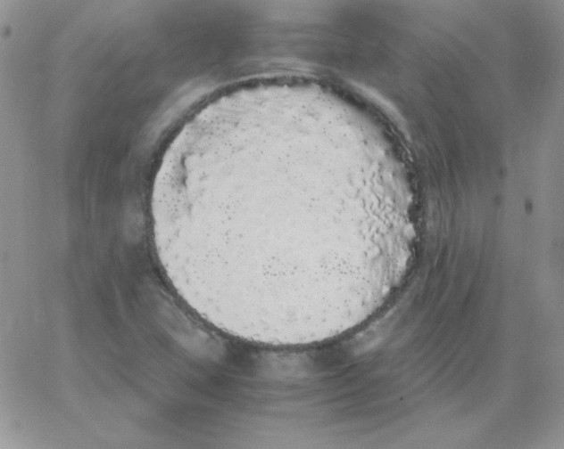 X0000062901407200602031820