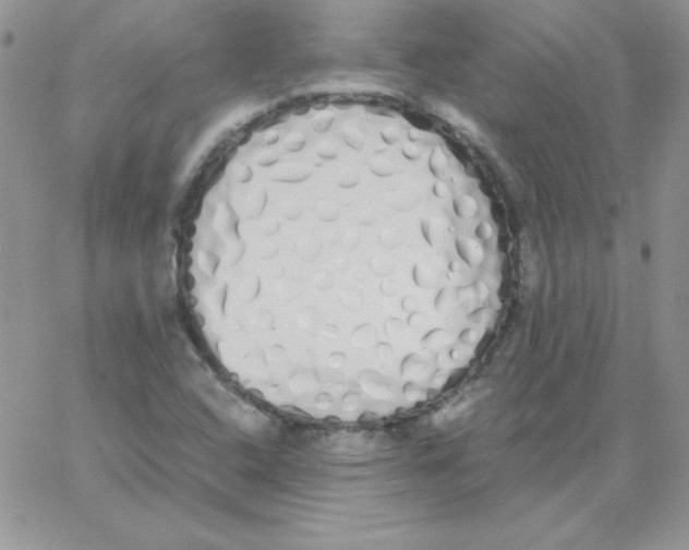 X0000062901408200602031820