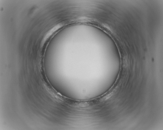 X0000062901410200602031820