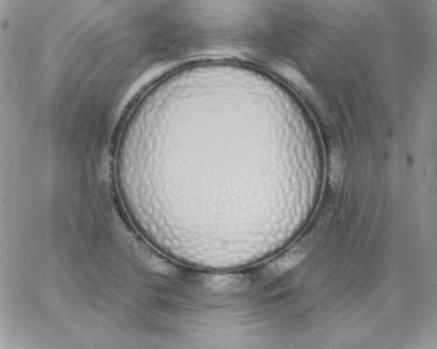 X0000062901412200602031820