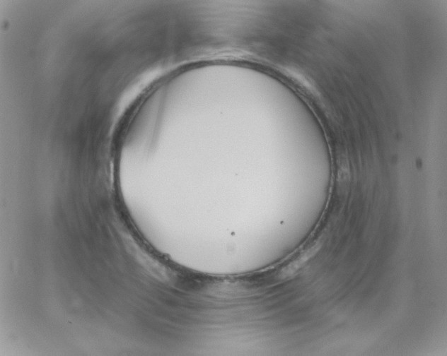 X0000062901414200602031821