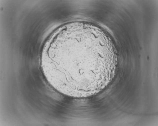 X0000062901415200602031821