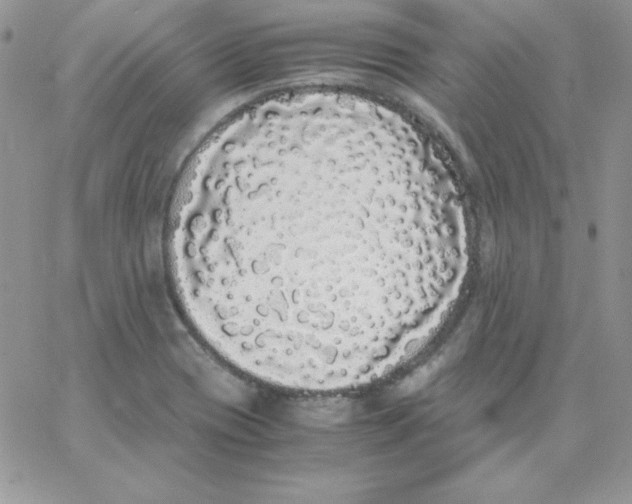 X0000062901417200602031821