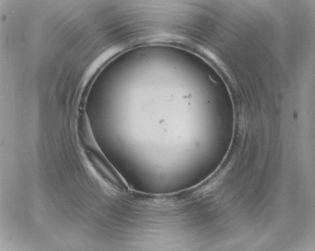 X0000062901418200602031821