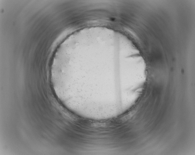 X0000062901419200602031821