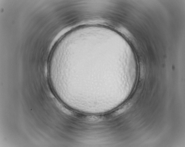 X0000062901420200602031821